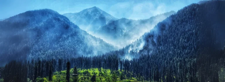 7N_8D Kashmir
