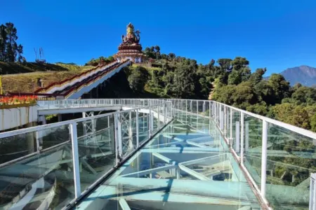 Enchanting darjeeling