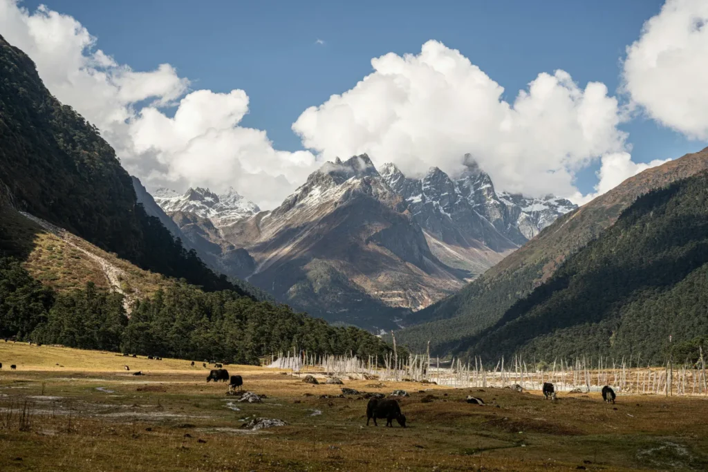 bumthan valley