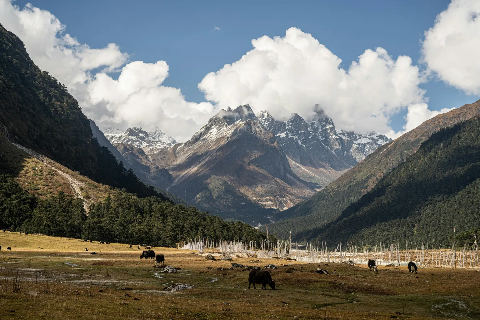 bumthan valley