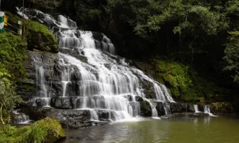 shillong